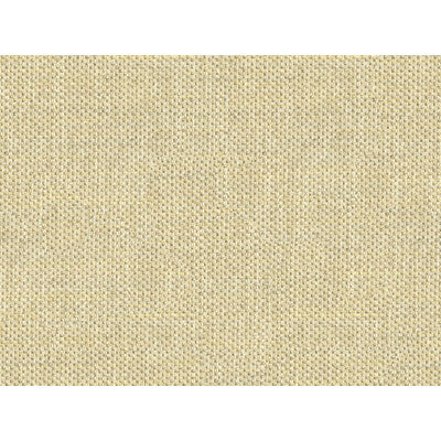KRAVET COUTURE 33443.411.0 DO THE HUSTLE PLATINUM Fabric - Eade's Wallpaper