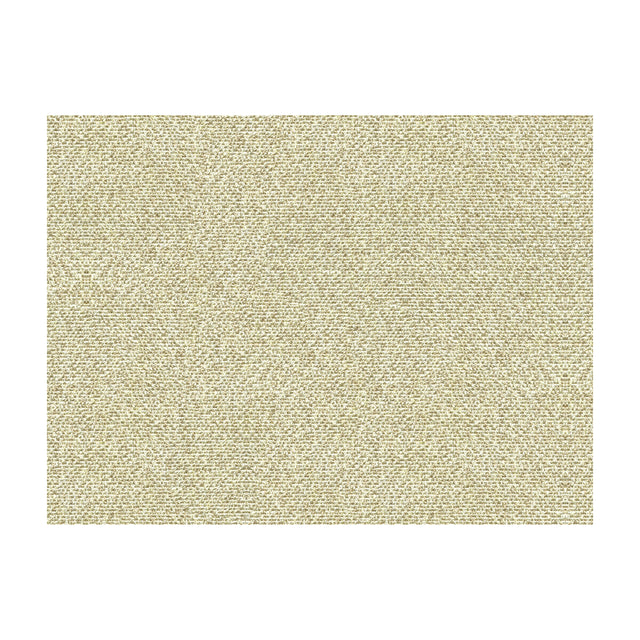 KRAVET COUTURE 33488.16.0 SALT FLATS OYSTER Fabric - Eade's Wallpaper