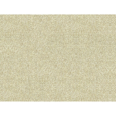 KRAVET COUTURE 33488.16.0 SALT FLATS OYSTER Fabric - Eade's Wallpaper