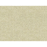 KRAVET COUTURE 33488.16.0 SALT FLATS OYSTER Fabric - Eade's Wallpaper