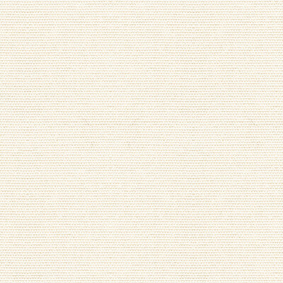 KRAVET DESIGN 33496.101.0 COVER SALT Fabric - Eade's Wallpaper