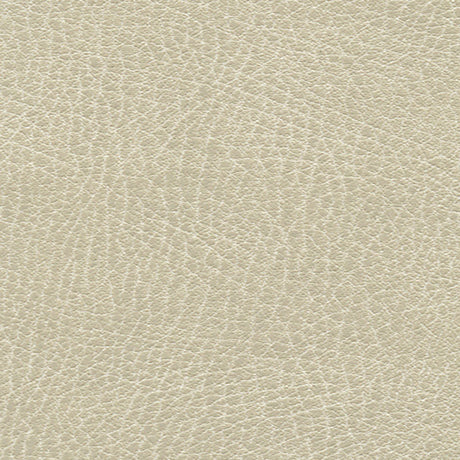 Schumacher 335-3021 BRISA DISTRESSED in PUTTY Fabric - ULTRA
