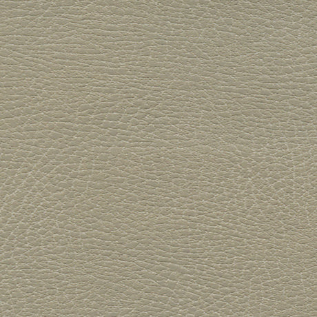 Schumacher 335-3869 BRISA DISTRESSED in DUNE Fabric - ULTRAL