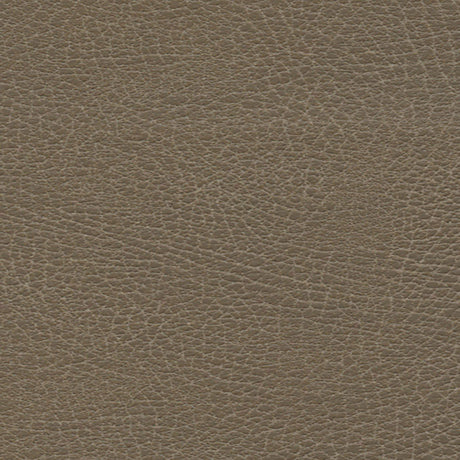 Schumacher 335-3871 BRISA DISTRESSED in MOCCASIN Fabric - UL