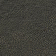 Schumacher 335-3974 BRISA DISTRESSED in Steerhide Fabric - U
