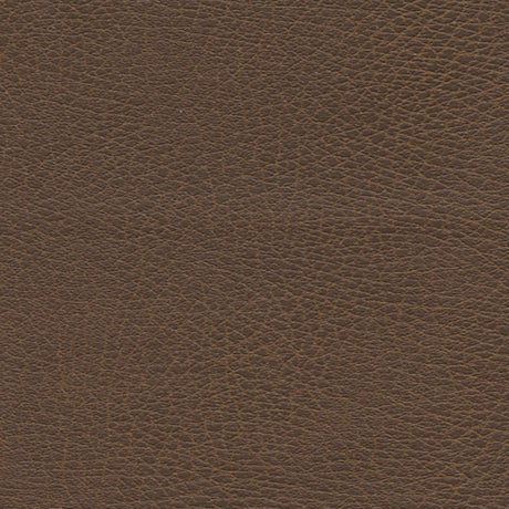 Schumacher 335-3976 BRISA DISTRESSED in BRIDLE Fabric - ULTR