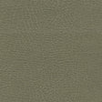 Schumacher 335-4512 BRISA DISTRESSED in PRAIRIE Fabric - ULT