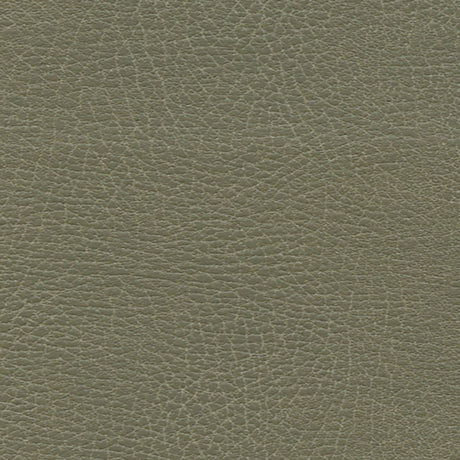 Schumacher 335-4512 BRISA DISTRESSED in PRAIRIE Fabric - ULT