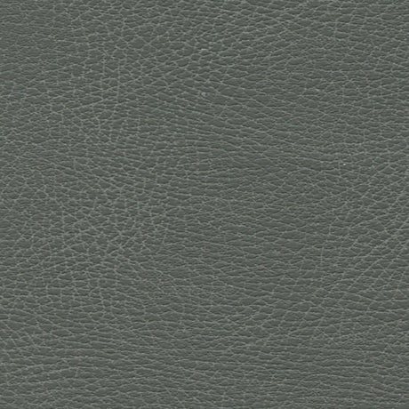 Schumacher 335-5679 BRISA DISTRESSED in IRON Fabric - ULTRAL