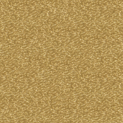 KRAVET COUTURE 33514.16.0 TURN HEADS VANILLA Fabric - Eade's Wallpaper