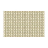 KRAVET COUTURE 33557.106.0 RARE COIN PLATINUM Fabric - Eade's Wallpaper