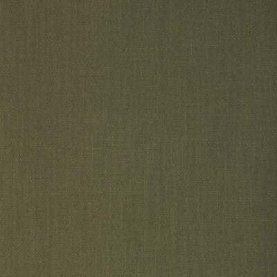KRAVET BASICS KRAVET BASICS 33842.323.0 in 33842-323 Fabric 