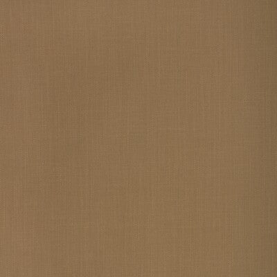 KRAVET BASICS KRAVET BASICS 33842.416.0 in 33842-416 Fabric 