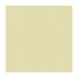 KRAVET COUTURE 33886.111.0 KRAVET COUTURE 33886-111 Fabric - Eade's Wallpaper