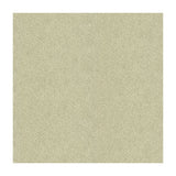 KRAVET COUTURE 33961.411.0 DAZZLING HAUTE PUMICE Fabric - Eade's Wallpaper
