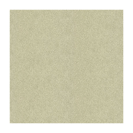 KRAVET COUTURE 33961.411.0 DAZZLING HAUTE PUMICE Fabric - Eade's Wallpaper