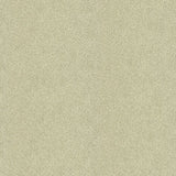 KRAVET COUTURE 33961.411.0 DAZZLING HAUTE PUMICE Fabric - Eade's Wallpaper