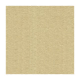 KRAVET COUTURE 33968.116.0 SNEAK PEEK SHELL Fabric - Eade's Wallpaper