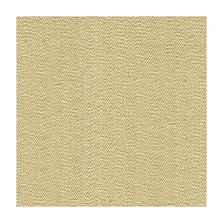 KRAVET COUTURE 33968.116.0 SNEAK PEEK SHELL Fabric - Eade's Wallpaper