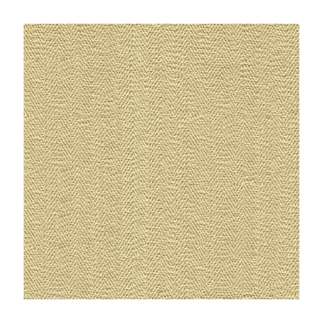 KRAVET COUTURE 33968.116.0 SNEAK PEEK SHELL Fabric - Eade's Wallpaper