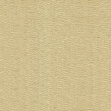 KRAVET COUTURE 33968.116.0 SNEAK PEEK SHELL Fabric - Eade's Wallpaper