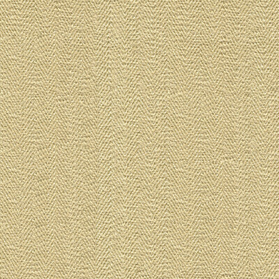 KRAVET COUTURE 33968.116.0 SNEAK PEEK SHELL Fabric - Eade's Wallpaper