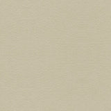 KRAVET COUTURE 34121.111.0 SUEDE TEXTURE GRIS Fabric - Eade's Wallpaper