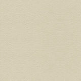KRAVET COUTURE 34121.611.0 SUEDE TEXTURE STONE Fabric - Eade's Wallpaper