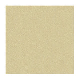KRAVET DESIGN 34177.16.0 JATOBA OYSTER Fabric - Eade's Wallpaper
