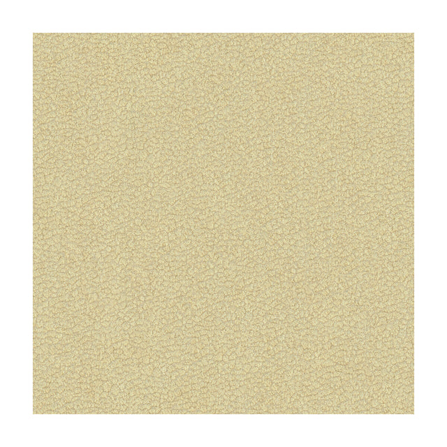 KRAVET DESIGN 34177.16.0 JATOBA OYSTER Fabric - Eade's Wallpaper
