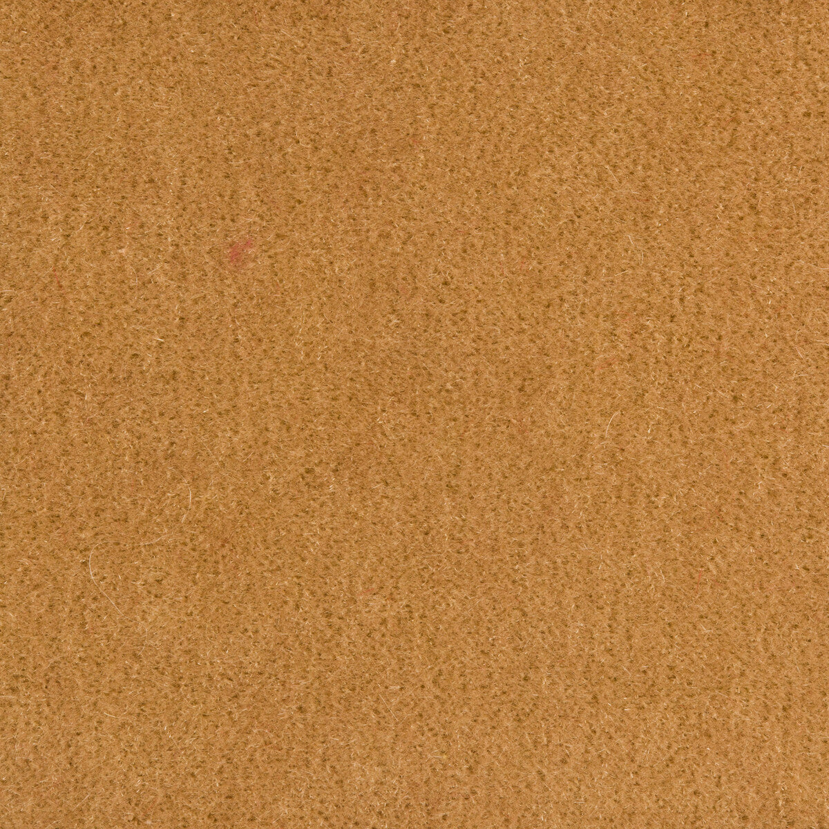 KRAVET COUTURE 34258.16.0 WINDSOR MOHAIR NOUGAT Fabric - Eade's Wallpaper