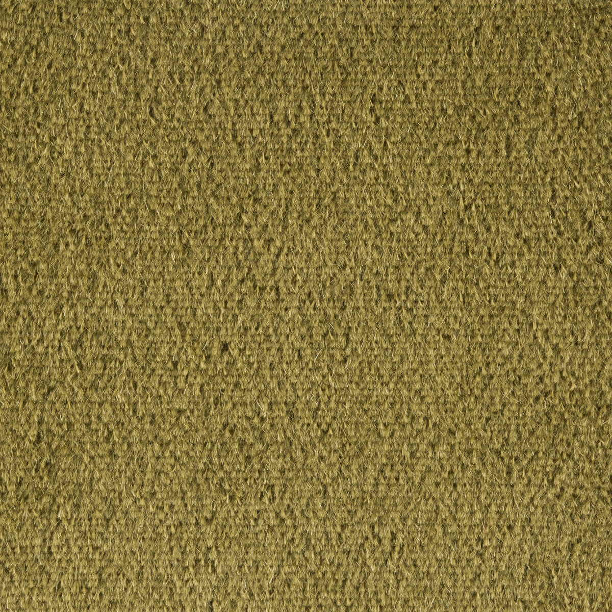 KRAVET COUTURE 34259.458.0 PLAZZO MOHAIR MOSS Fabric - Eade's Wallpaper