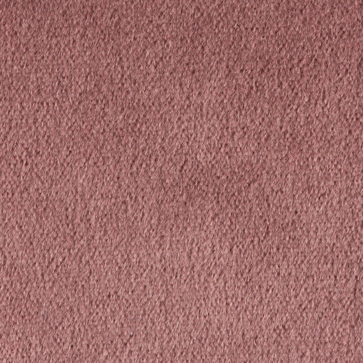 KRAVET COUTURE 34259.701.0 PLAZZO MOHAIR DUSTY ROSE Fabric - Eade's Wallpaper