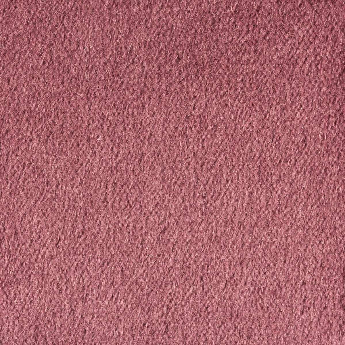 KRAVET COUTURE 34259.739.0 PLAZZO MOHAIR TULIPWOOD Fabric - Eade's Wallpaper