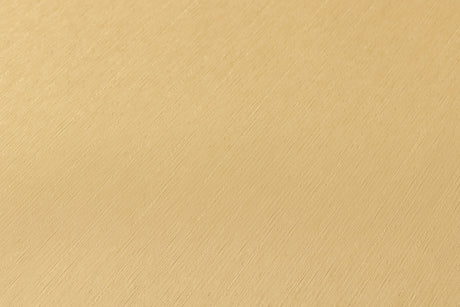 Versace 343275X Wallpaper - Eade's Wallpaper & Fabric