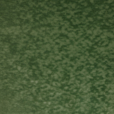 KRAVET COUTURE 34329.33.0 HIGH IMPACT LEAF Fabric - Eade's Wallpaper