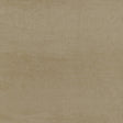 KRAVET COUTURE 34330.116.0 FINE LINES LATTE Fabric - Eade's Wallpaper