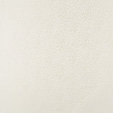 KRAVET BASICS 34412.1.0 KRAVET BASICS 34412-1 Fabric - Eade's Wallpaper
