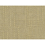KRAVET COUTURE 34476.4.0 CONCEPTUAL CHARDONNAY Fabric - Eade's Wallpaper