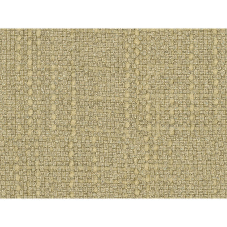 KRAVET COUTURE 34476.4.0 CONCEPTUAL CHARDONNAY Fabric - Eade's Wallpaper