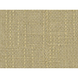 KRAVET COUTURE 34476.4.0 CONCEPTUAL CHARDONNAY Fabric - Eade's Wallpaper