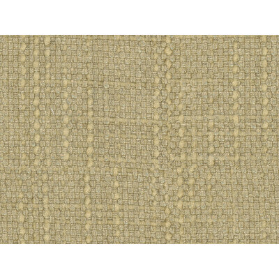 KRAVET COUTURE 34476.4.0 CONCEPTUAL CHARDONNAY Fabric - Eade's Wallpaper