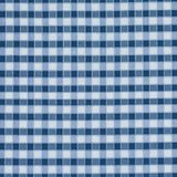 Schumacher Ingrid Silk Check Blue Fabric