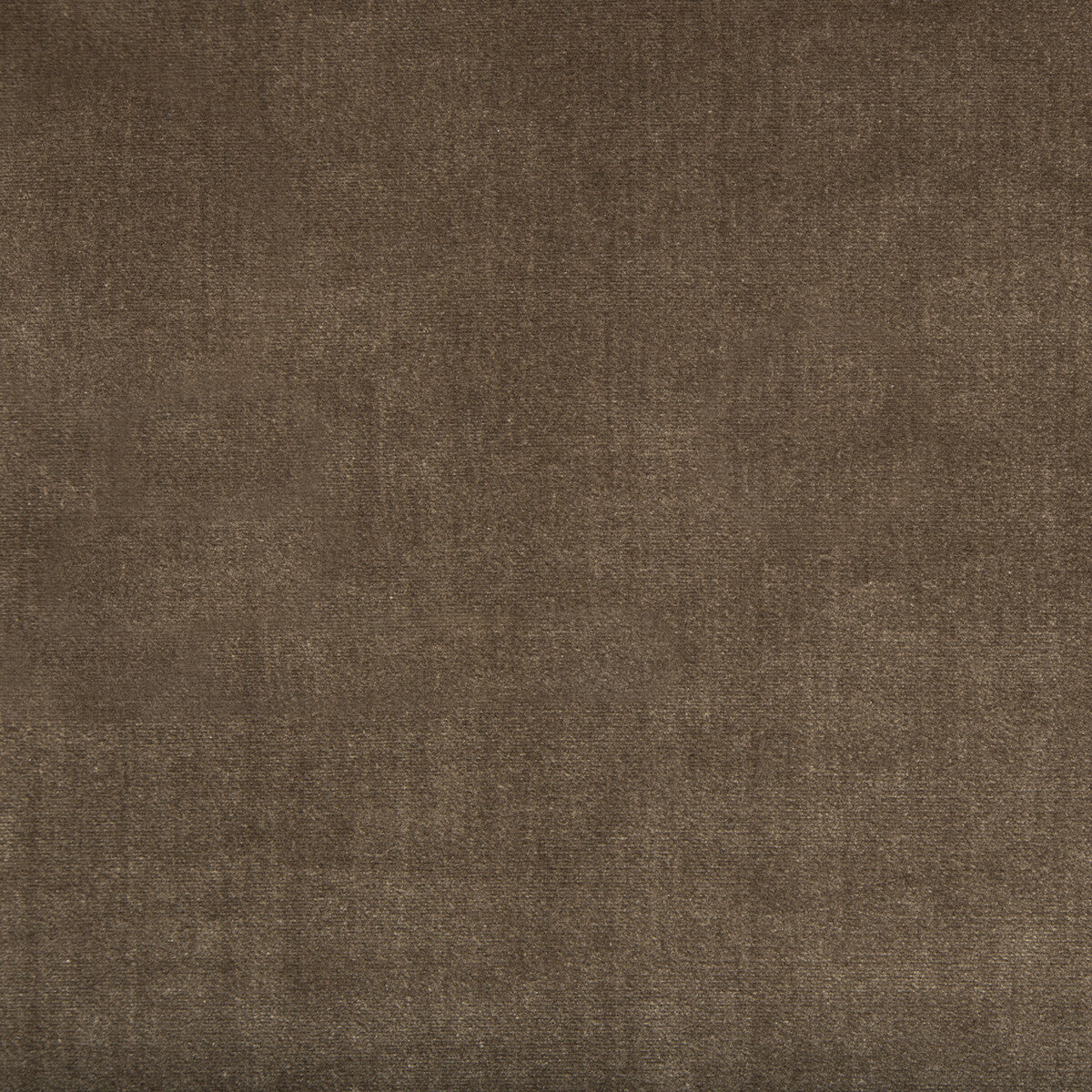 KRAVET COUTURE 34641.6.0 DUCHESS VELVET MINK Fabric - Eade's Wallpaper