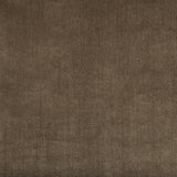 KRAVET COUTURE 34641.6.0 DUCHESS VELVET MINK Fabric - Eade's Wallpaper