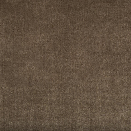 KRAVET COUTURE 34641.6.0 DUCHESS VELVET MINK Fabric - Eade's Wallpaper