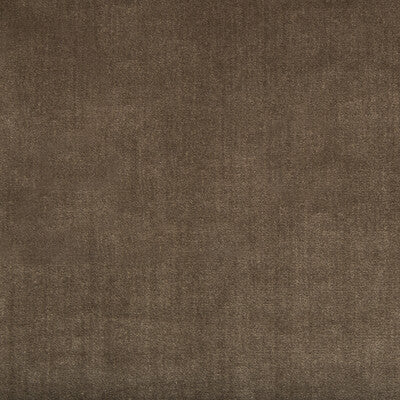 KRAVET COUTURE 34641.6.0 DUCHESS VELVET MINK Fabric - Eade's Wallpaper