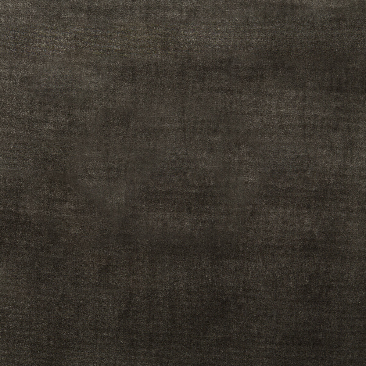 KRAVET COUTURE 34641.86.0 DUCHESS VELVET CHARCOAL Fabric - Eade's Wallpaper