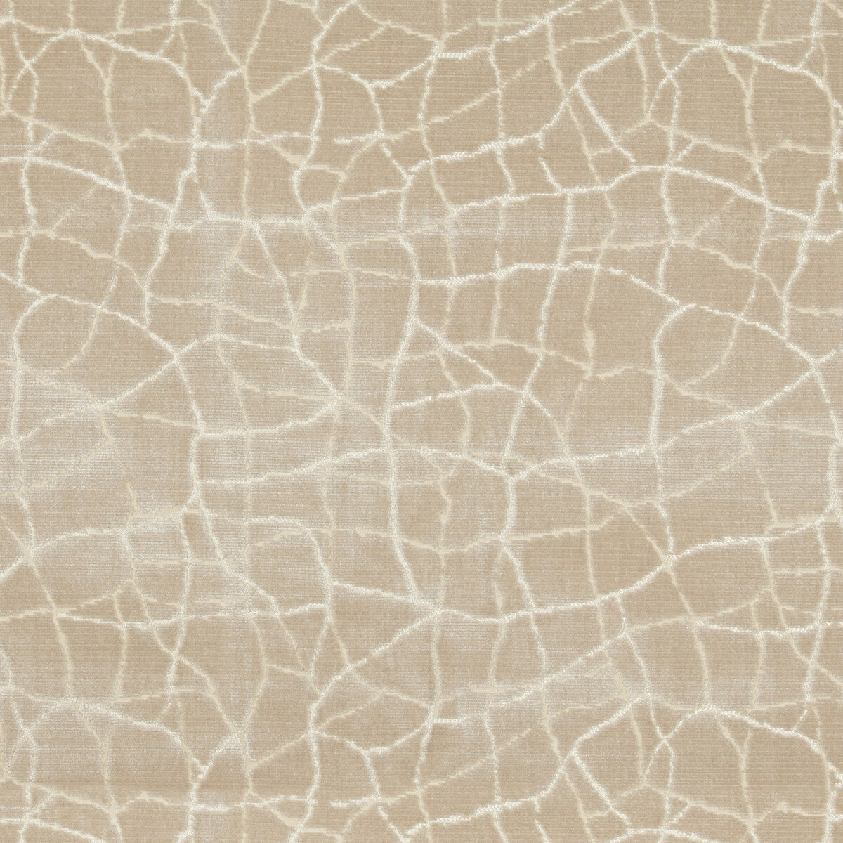 KRAVET COUTURE 34780.16.0 FORMATION CHAMPAGNE Fabric - Eade's Wallpaper