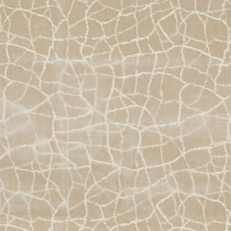 KRAVET COUTURE 34780.16.0 FORMATION CHAMPAGNE Fabric - Eade's Wallpaper